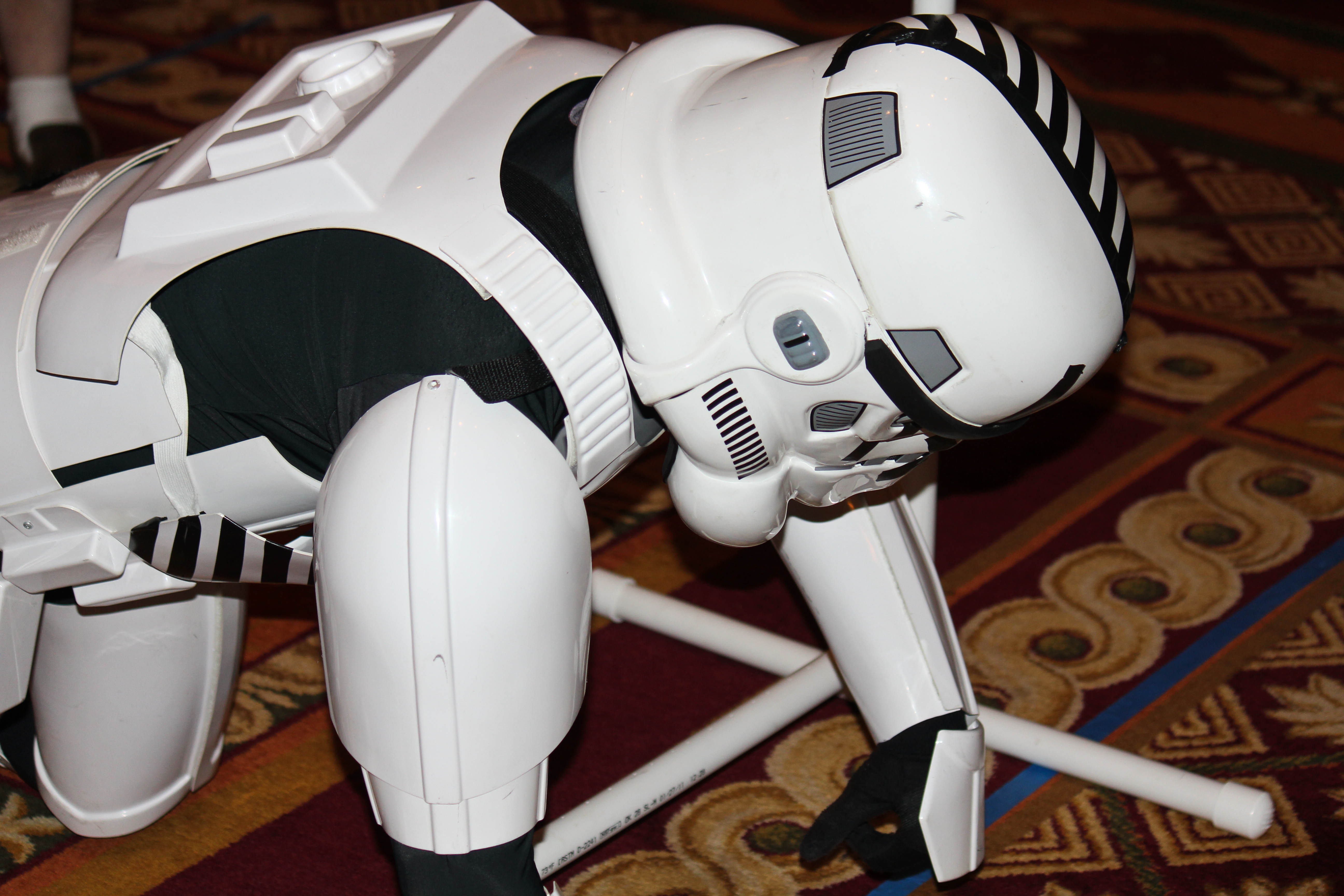 All-Con 2011 - Imperial Gladiators_5680016896_o.jpg