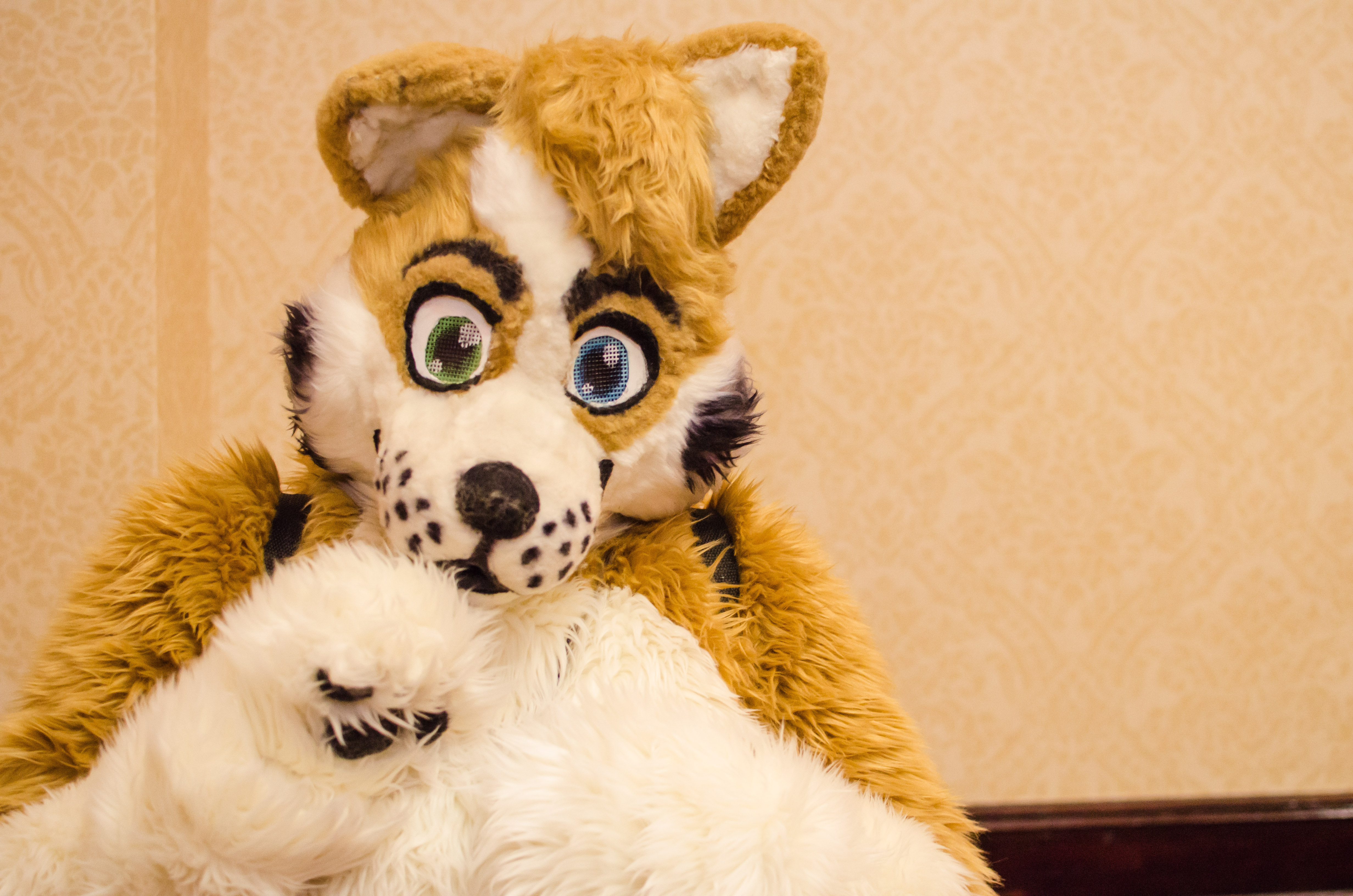 All-Con 2013_8551127738_o.jpg