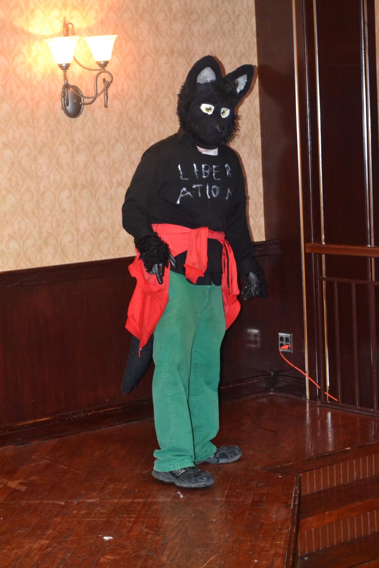 20150314173224078.jpg