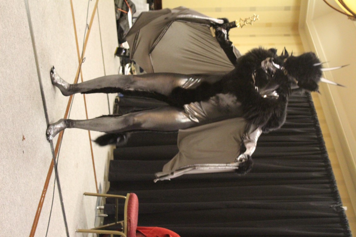 IMG3C096.jpg