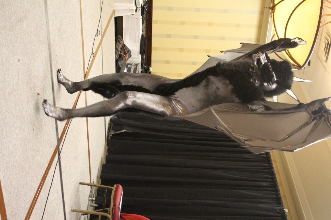 IMG3C118.jpg